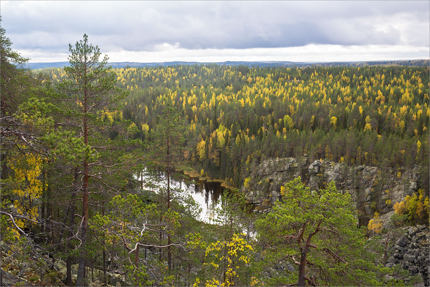 Пизанец, image of landscape/habitat.