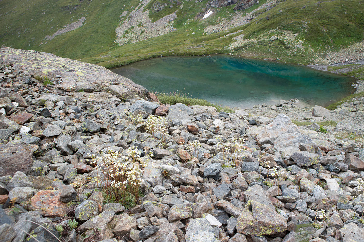 Проточное, image of landscape/habitat.