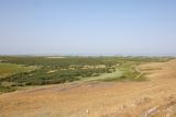 Image of landscape