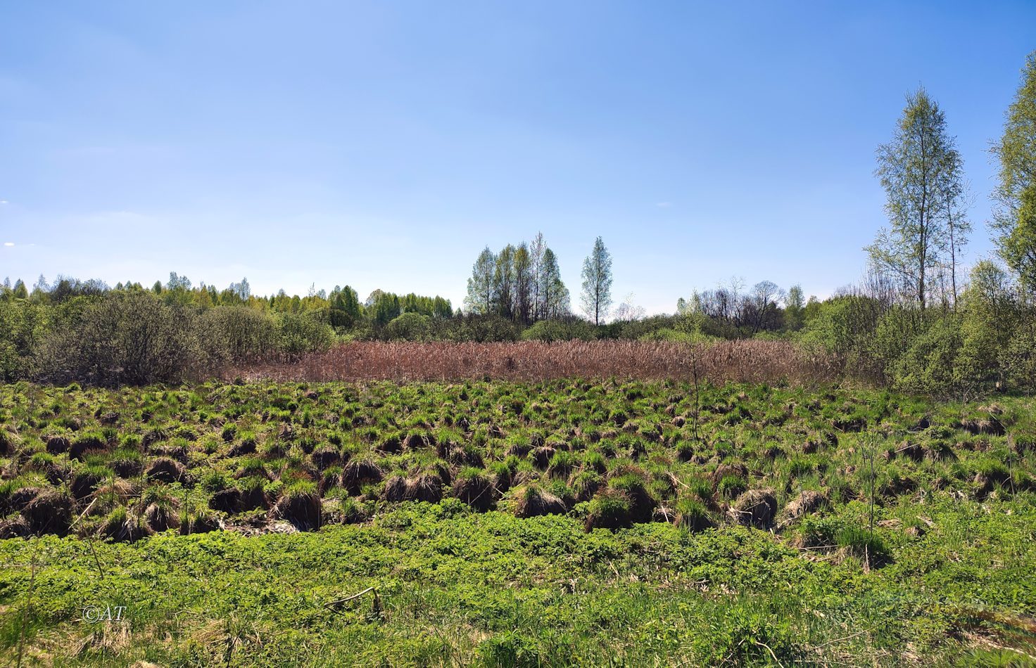 Верховья Каспли, image of landscape/habitat.