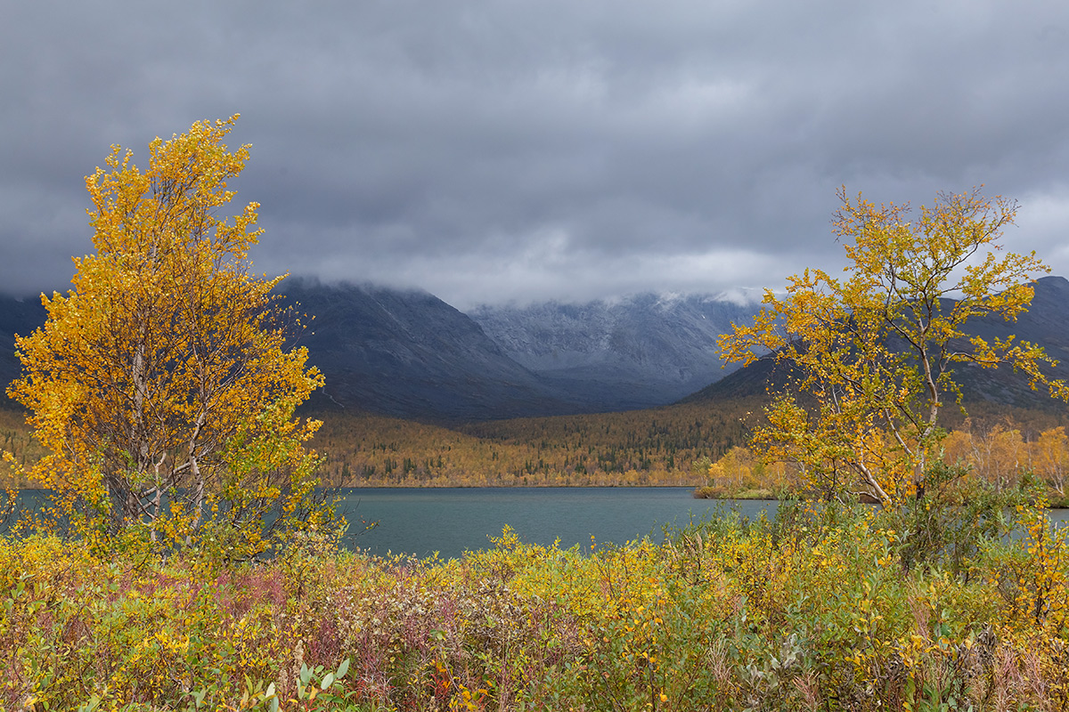 Долина Малого Вудъявра, image of landscape/habitat.