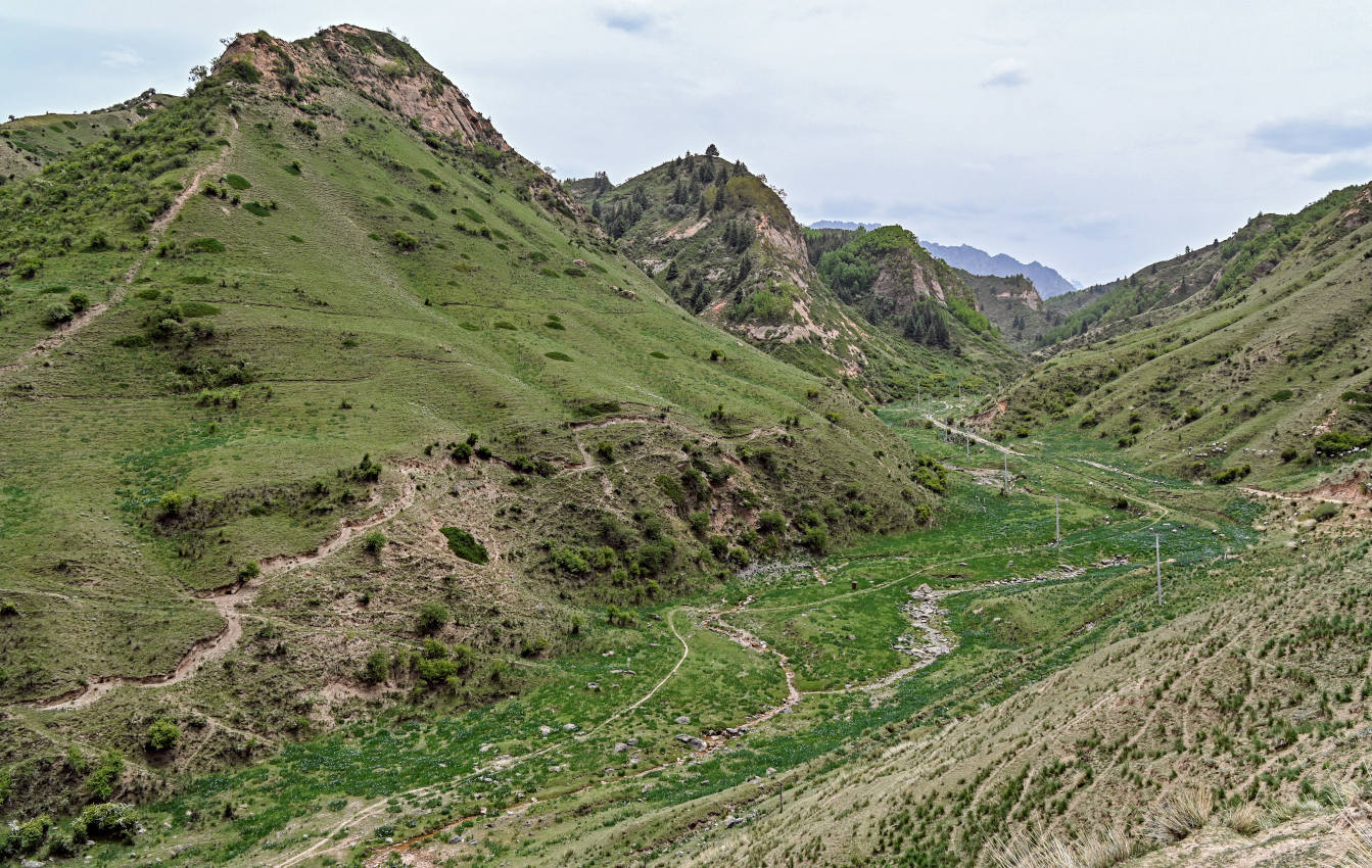 Долина Матисы, изображение ландшафта.