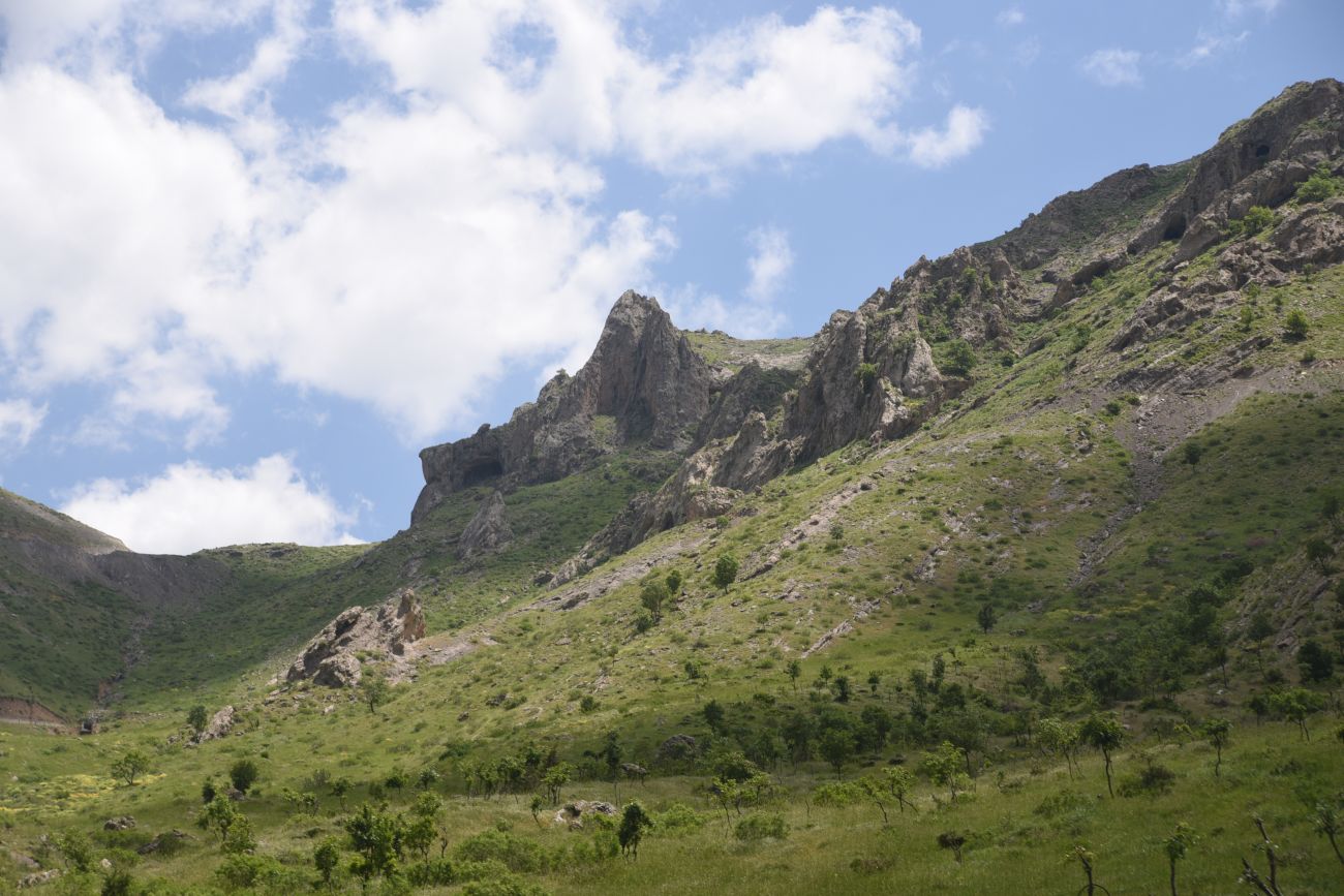 Перевал Сувари-Кутра, изображение ландшафта.