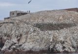 Балестас Центральный, изображение ландшафта.