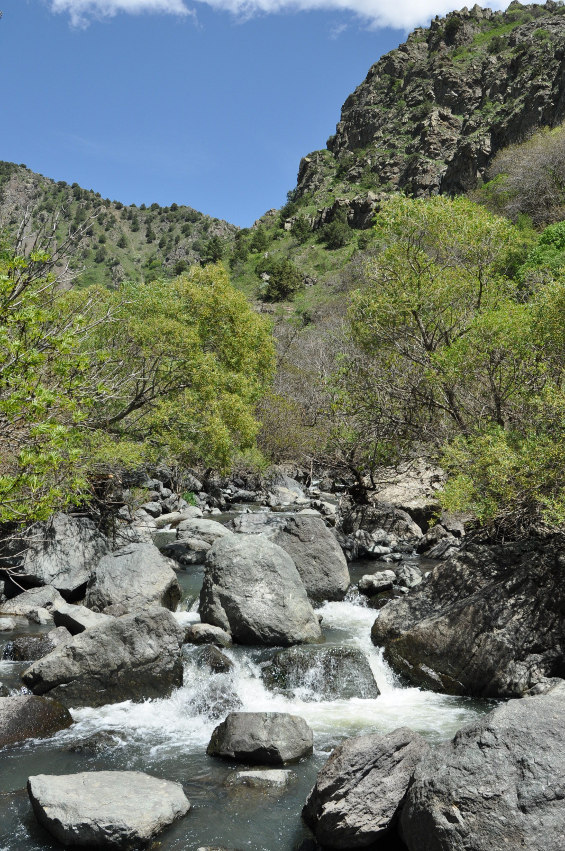 Ущелье реки Арпа, image of landscape/habitat.