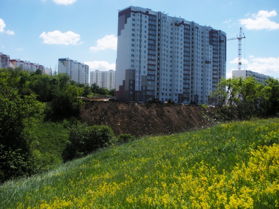 Монастырская балка, image of landscape/habitat.
