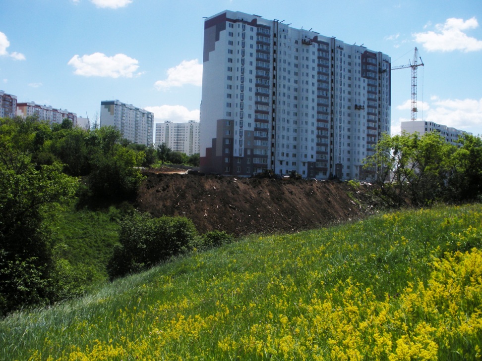 Монастырская балка, изображение ландшафта.