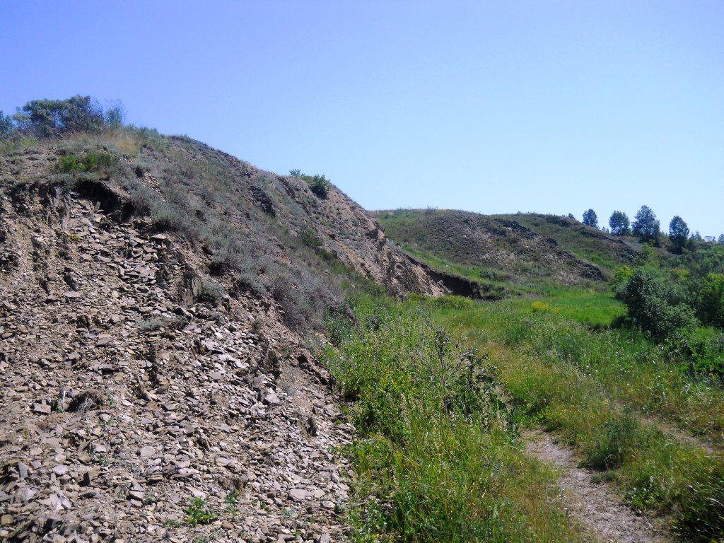 Долина реки Шипунихи, image of landscape/habitat.