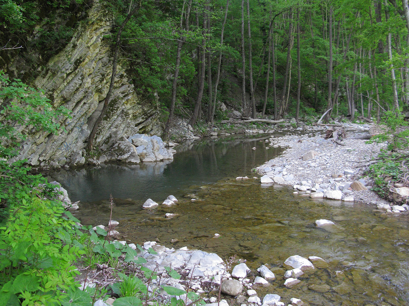 Скобидо, image of landscape/habitat.