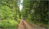 Image of landscape