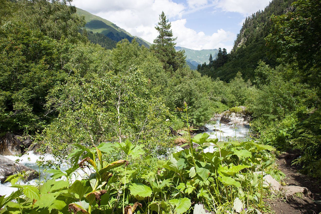 Имеретинка, image of landscape/habitat.