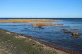 Шепелёвский маяк, image of landscape/habitat.