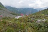Проточное, image of landscape/habitat.