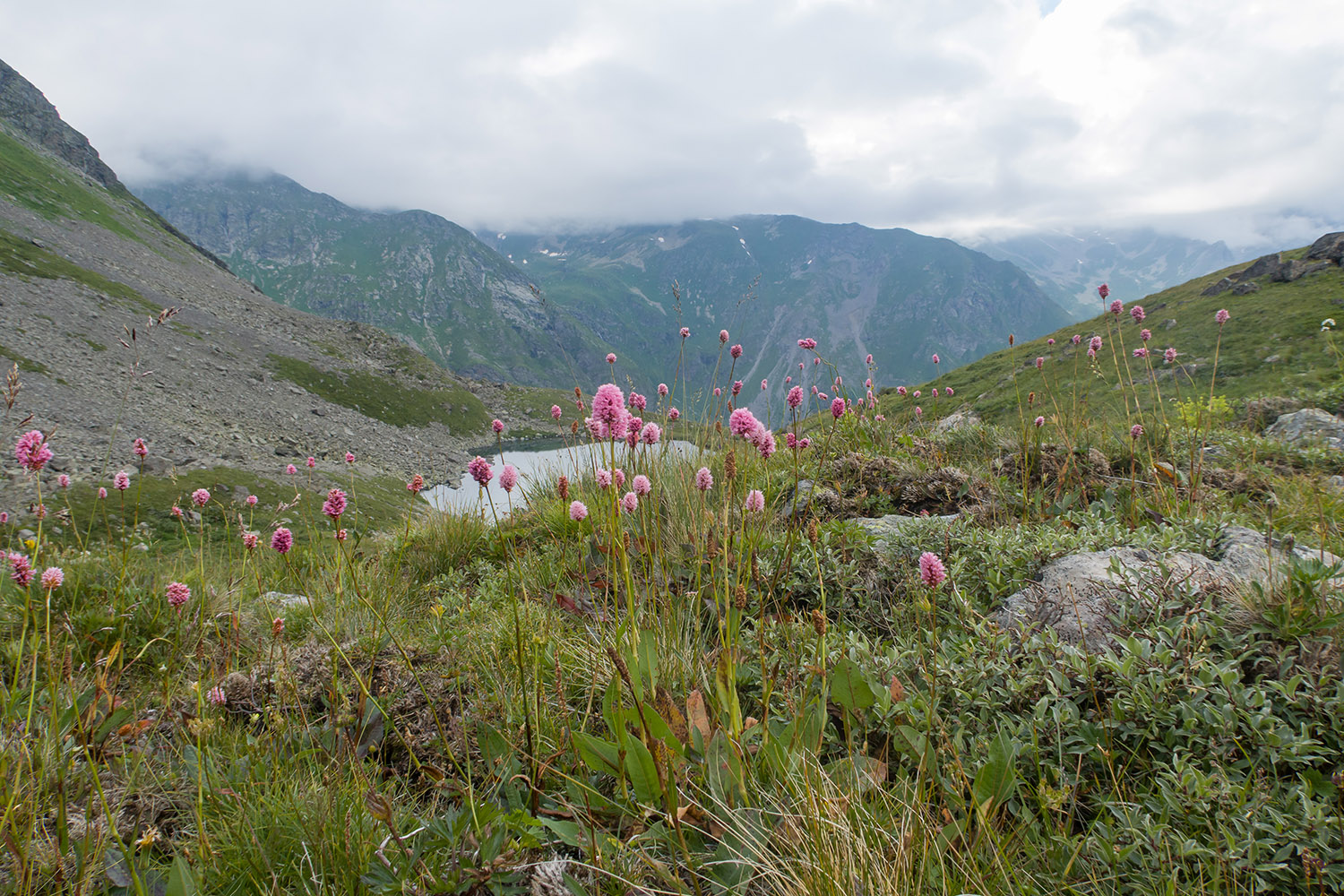 Проточное, image of landscape/habitat.