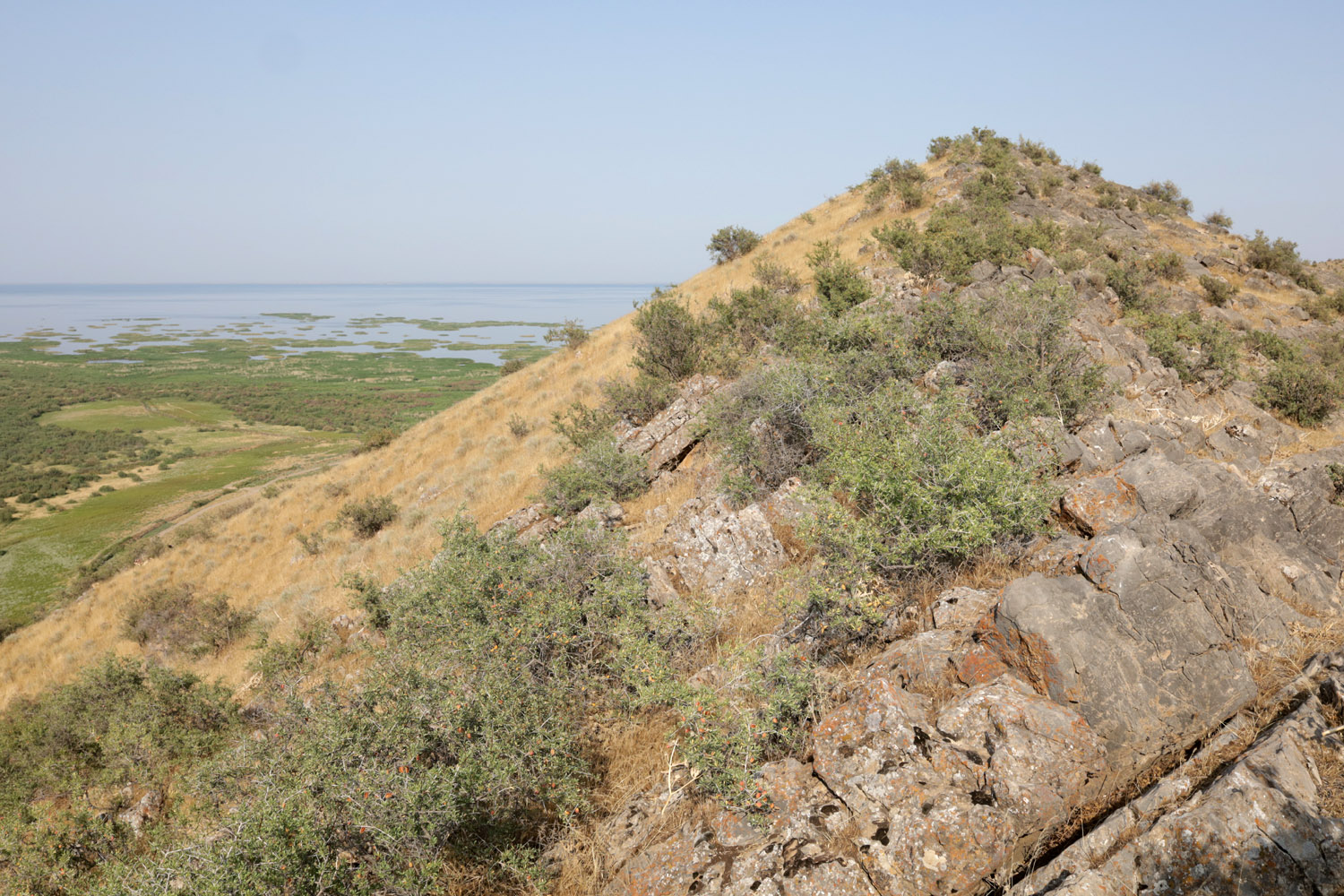 Берег Айдаркуля в окр. Учкулача, image of landscape/habitat.