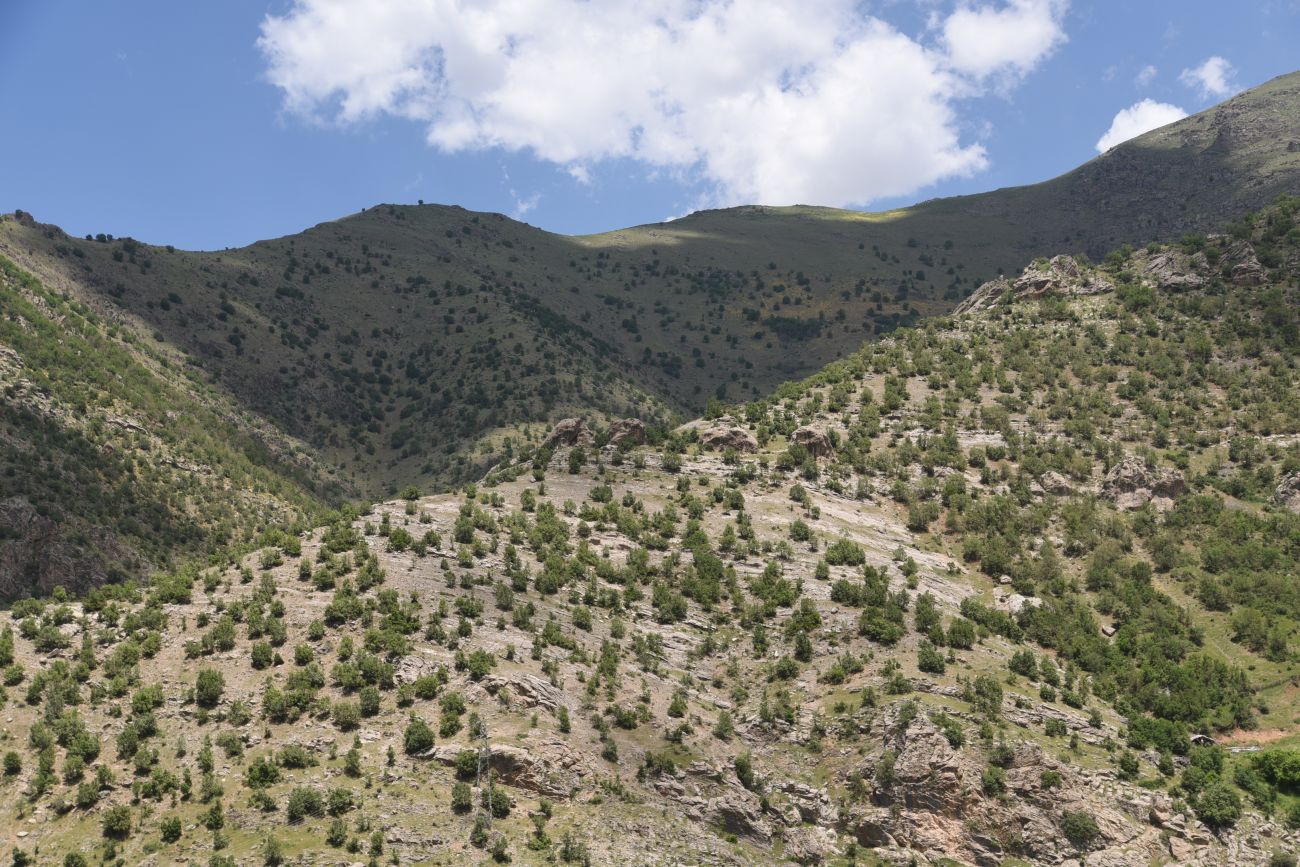 Перевал Сувари-Кутра, изображение ландшафта.