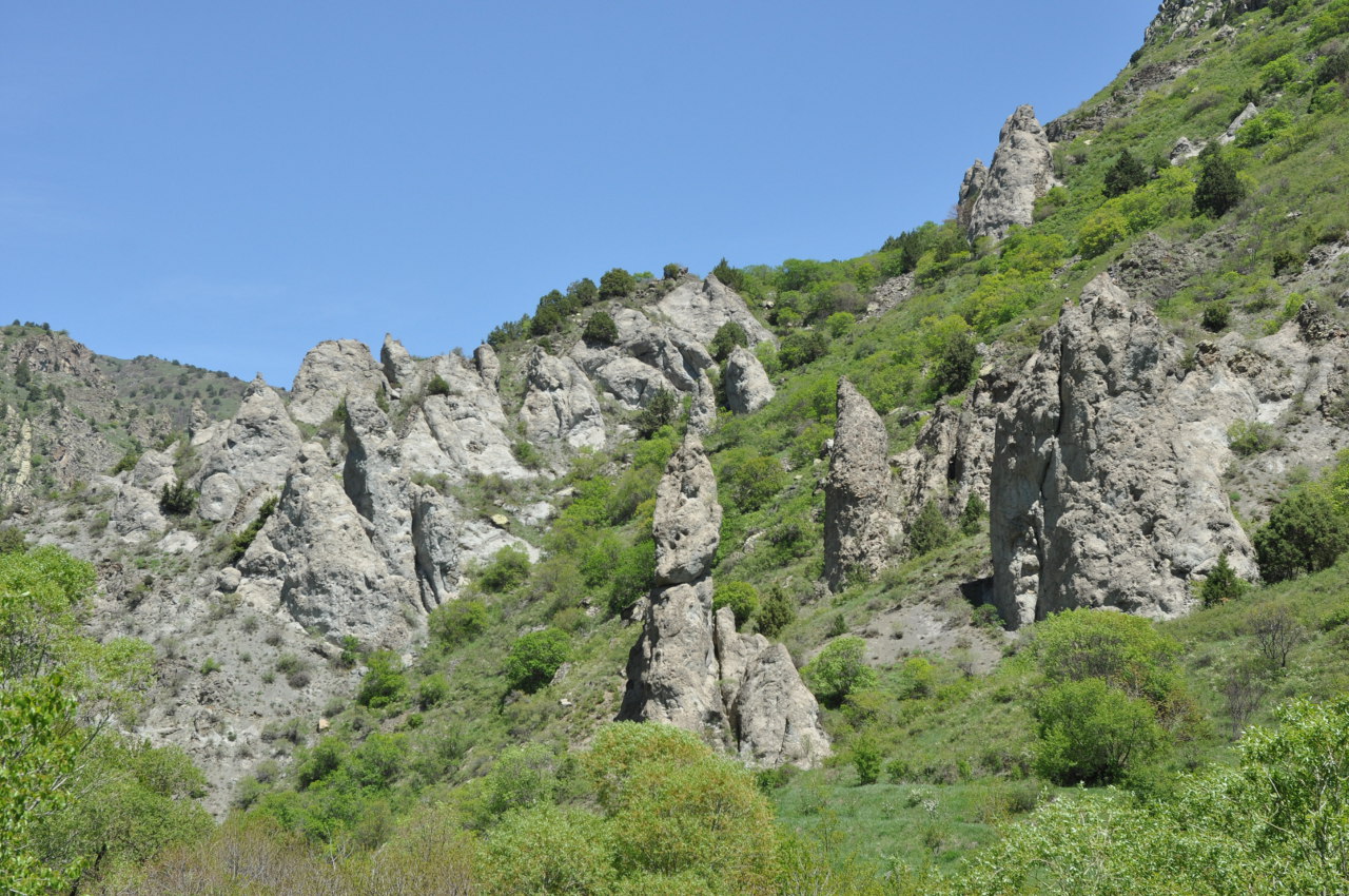 Ущелье реки Арпа, image of landscape/habitat.