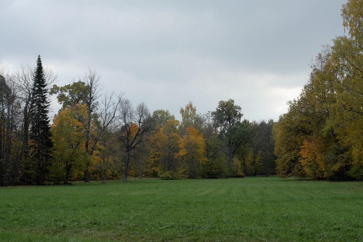 Парк "Сергиевка", image of landscape/habitat.