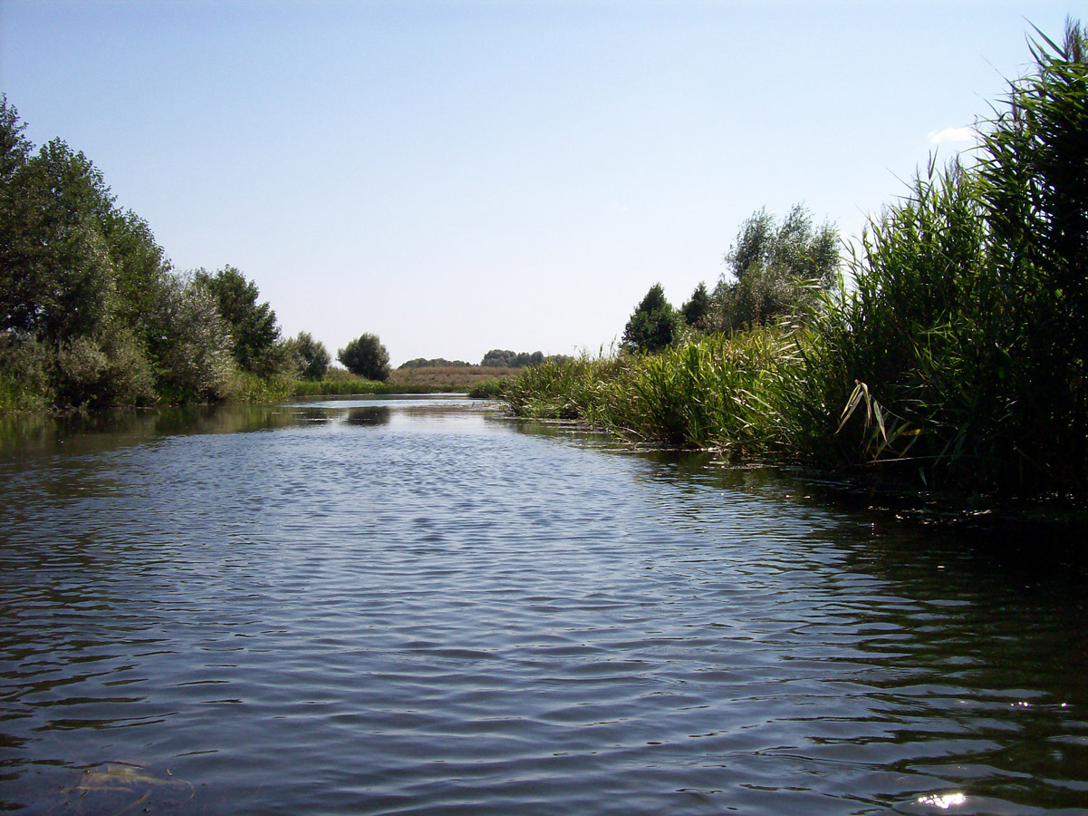 Нижнее течение реки Усожа 1, image of landscape/habitat.