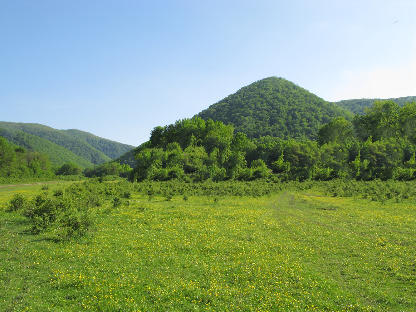 Ромашковы поляны, изображение ландшафта.