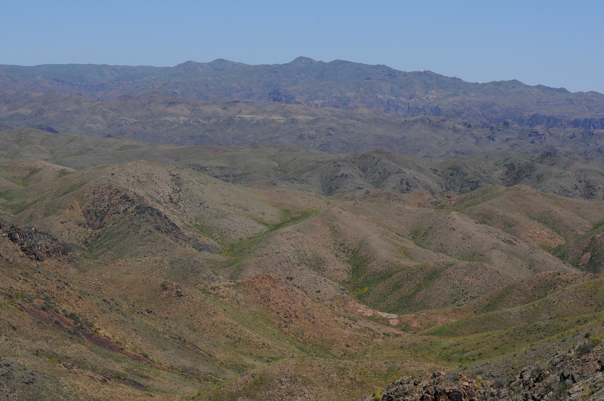 Шолак, image of landscape/habitat.