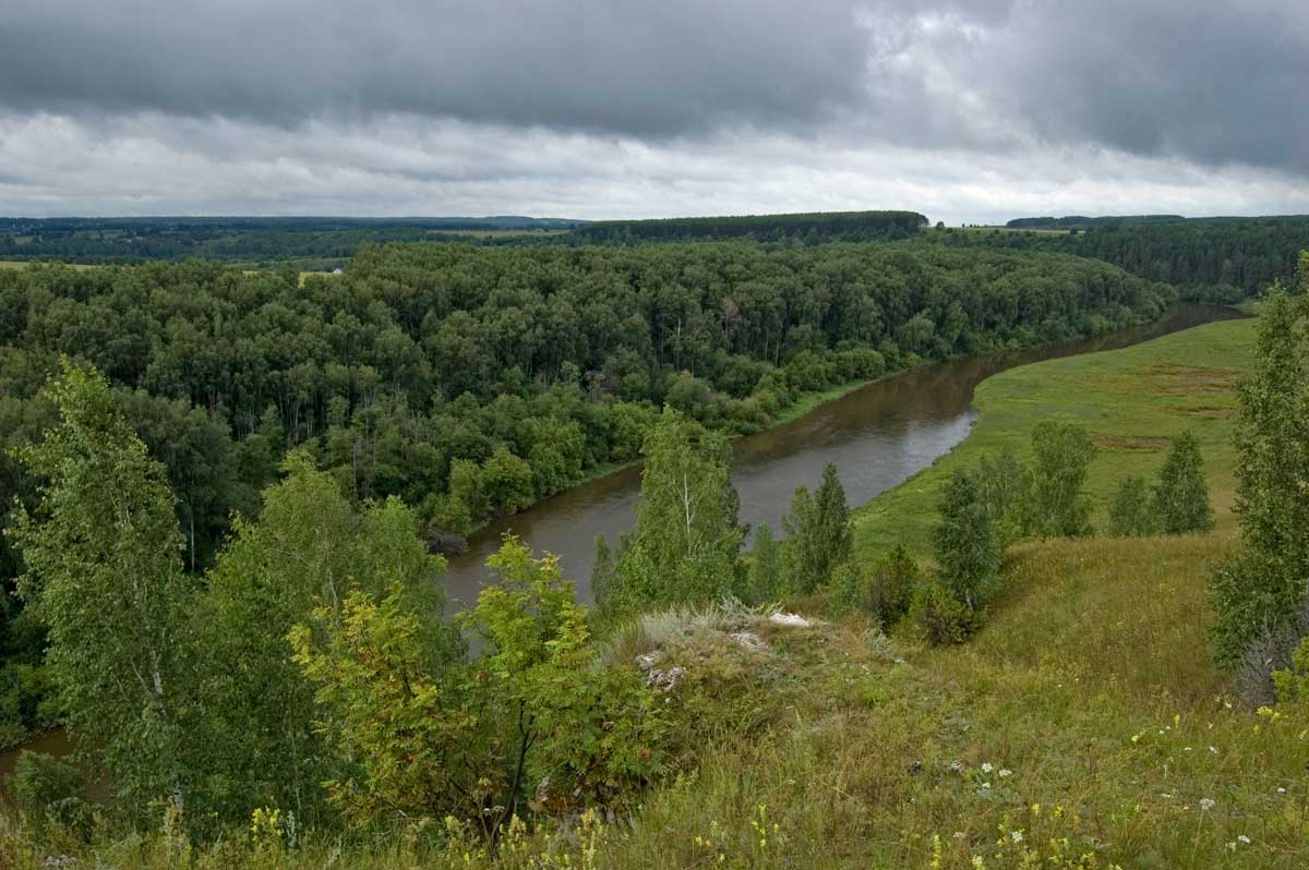 Окрестности деревни Комарово, image of landscape/habitat.