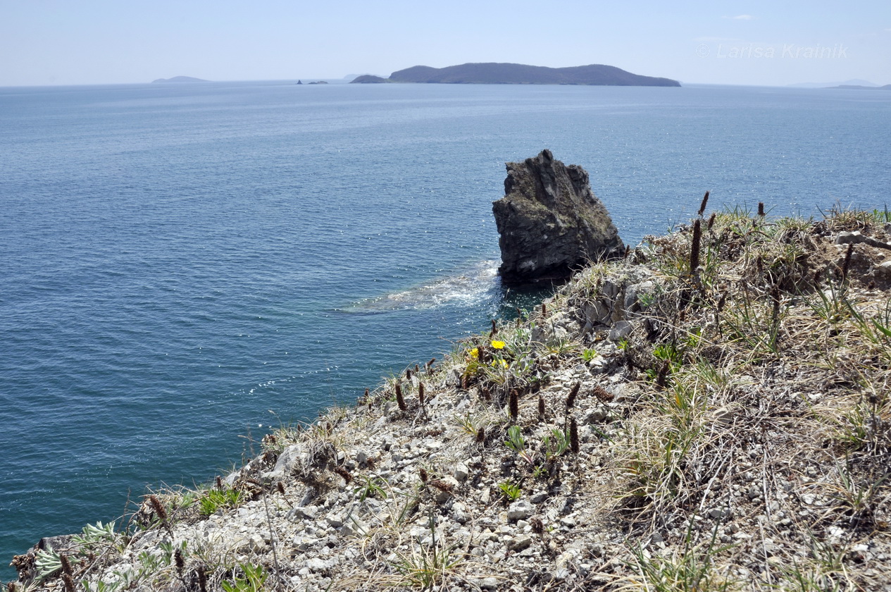 Полуостров Брюса, image of landscape/habitat.