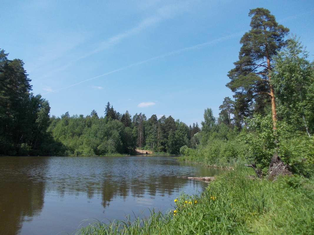 Жилплощадка, image of landscape/habitat.