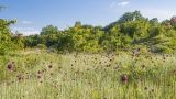 Темрючки, image of landscape/habitat.