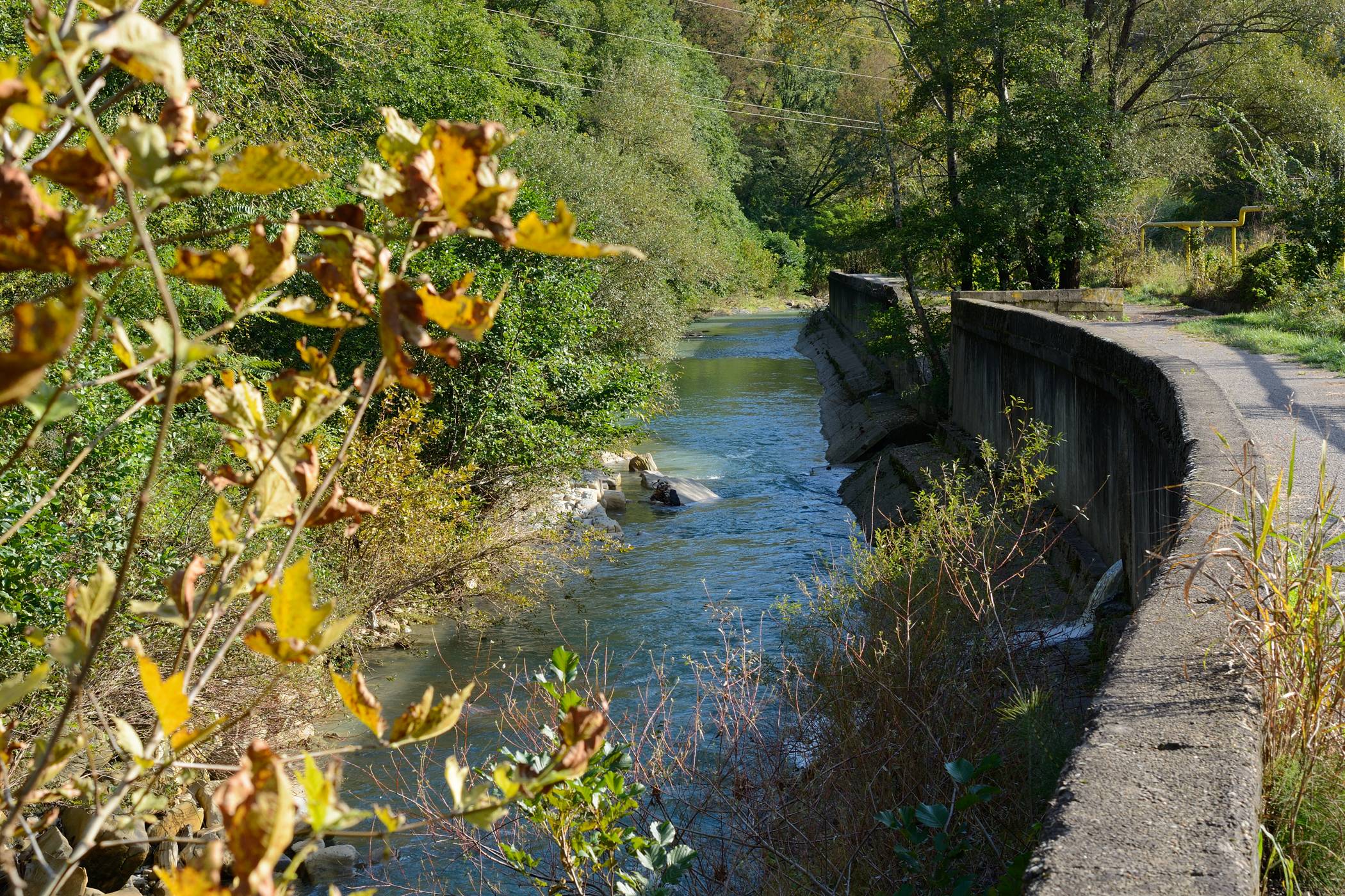 Западный Дагомыс, image of landscape/habitat.