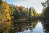 Парк "Сергиевка", image of landscape/habitat.