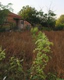 Оризаре, image of landscape/habitat.