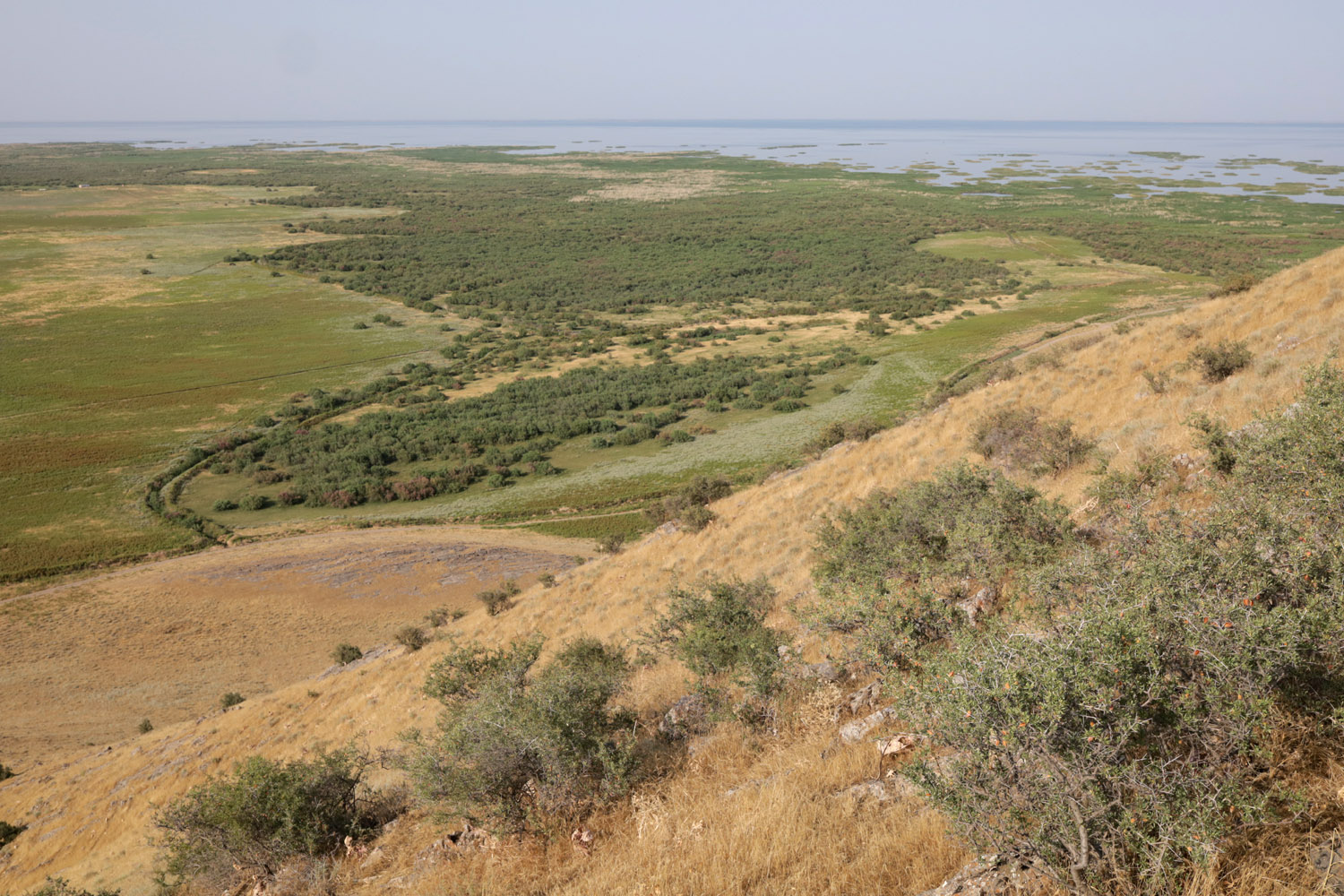 Берег Айдаркуля в окр. Учкулача, изображение ландшафта.