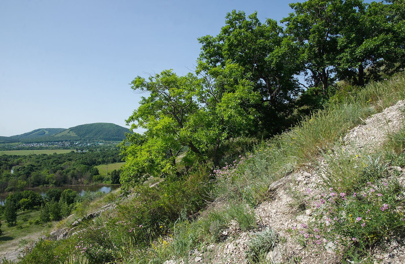 Юрактау, image of landscape/habitat.