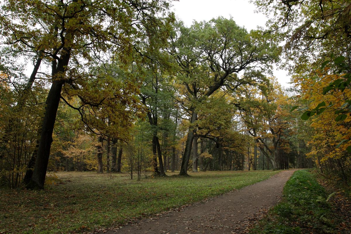 Парк "Сергиевка", image of landscape/habitat.