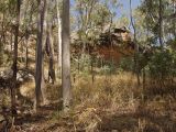 Image of landscape