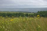 Image of landscape