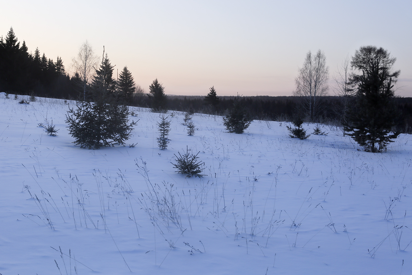 Низовья и устье Полуденной, image of landscape/habitat.