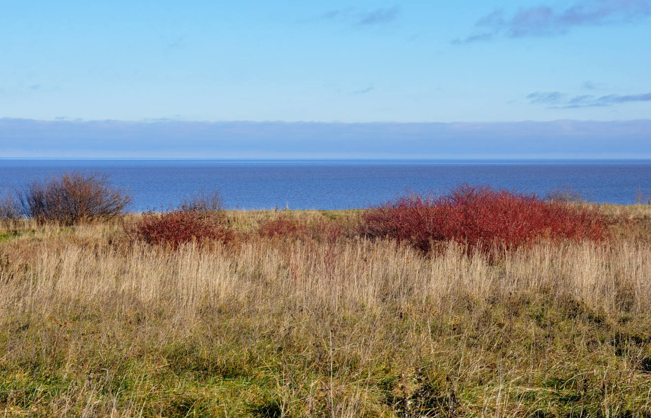 Ильменский глинт, image of landscape/habitat.