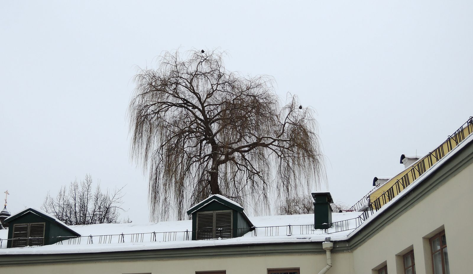 Гродно, изображение ландшафта.