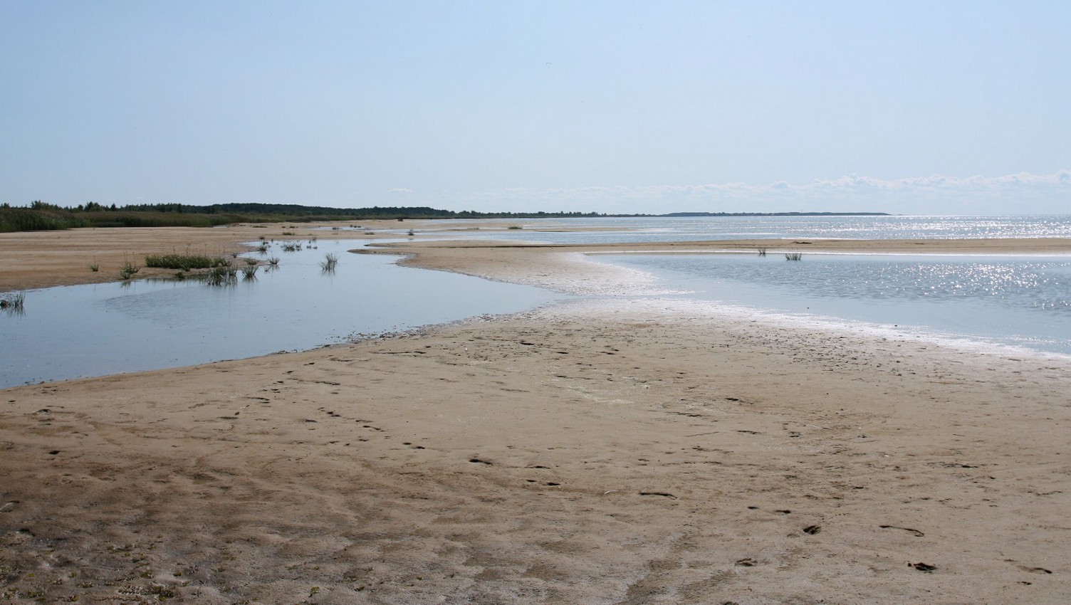 Спицино, image of landscape/habitat.