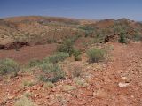 Alice Springs и окрестности, изображение ландшафта.
