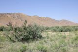 Image of landscape