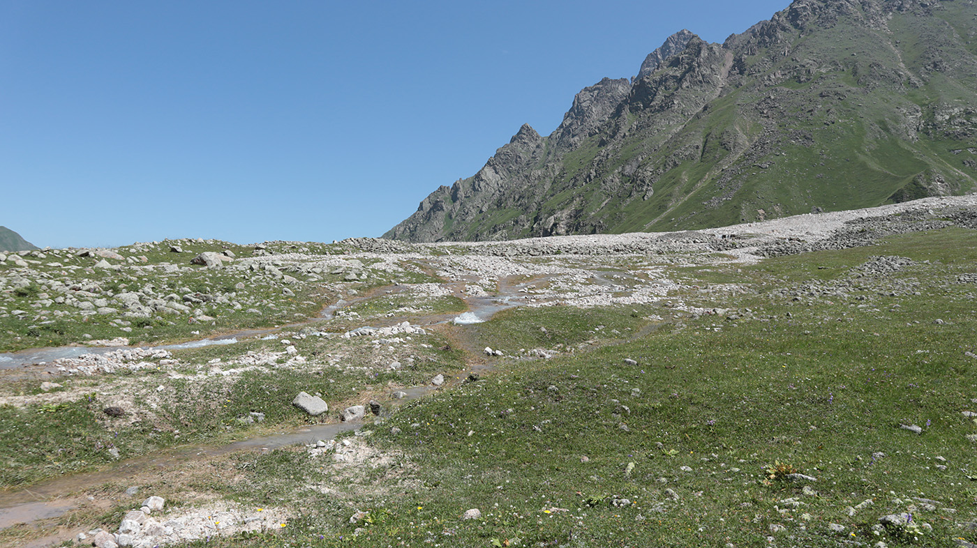 Туяла Западная, image of landscape/habitat.