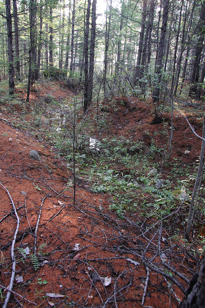 Окрестности Северного, image of landscape/habitat.