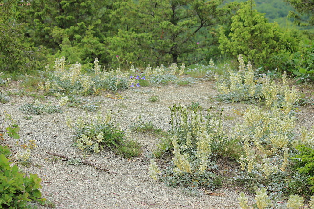 Среднее течение р. Озерейка, image of landscape/habitat.