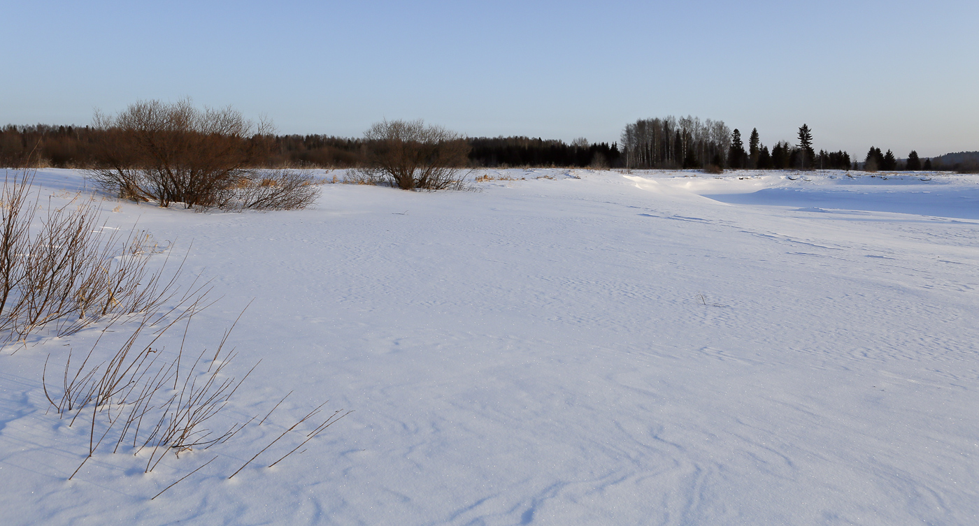 Низовья и устье Полуденной, image of landscape/habitat.