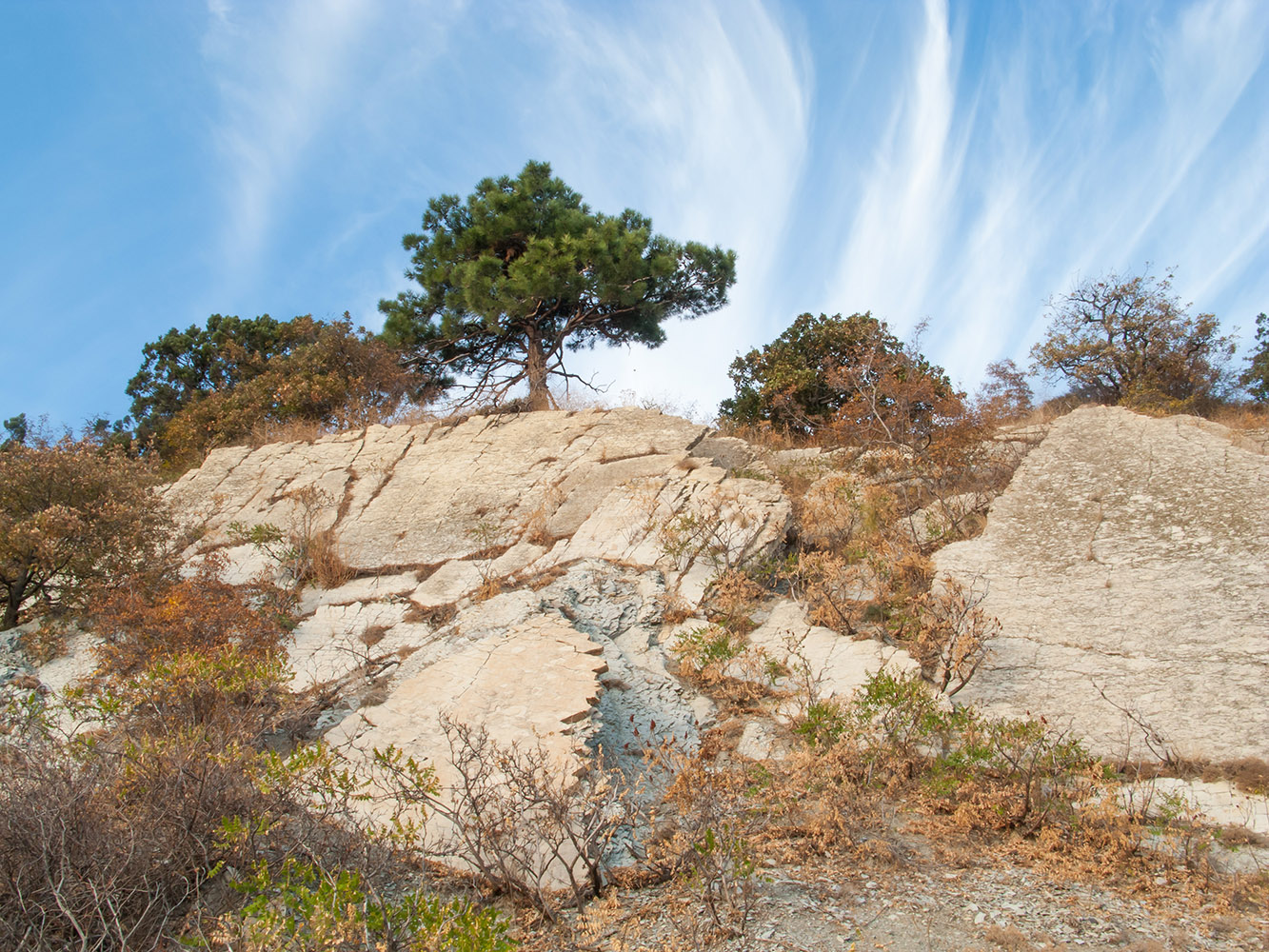 Берег моря у мыса Пенай, image of landscape/habitat.