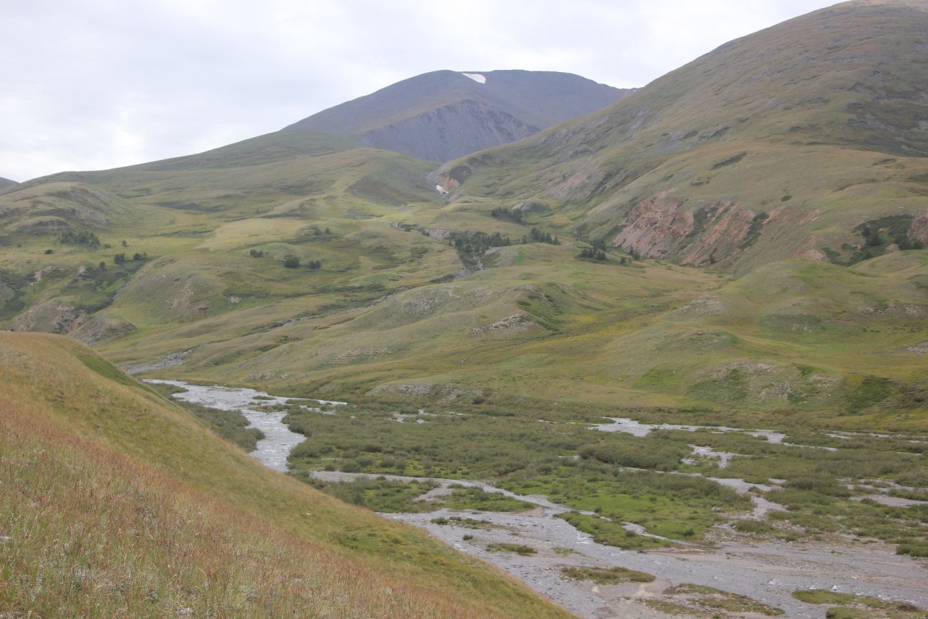 Долина р. Тархата, image of landscape/habitat.