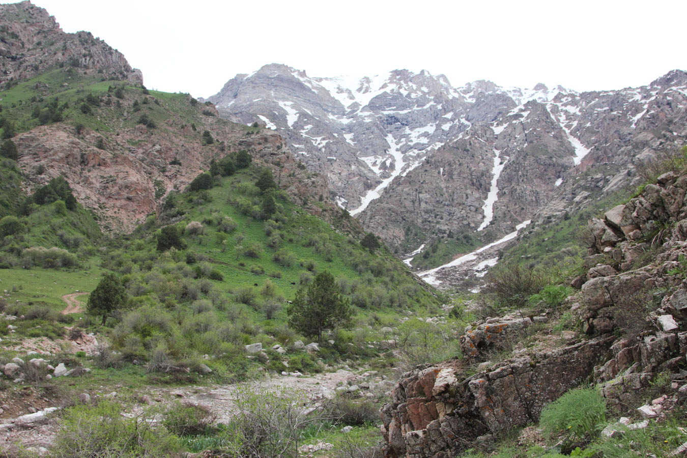 Ущелье Катта-Коксай, image of landscape/habitat.